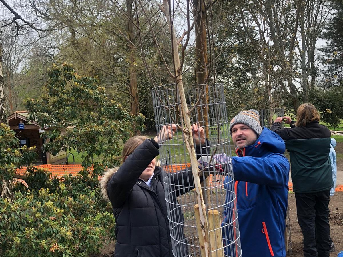 Our IT Recruitment Consultants planting trees for one of our Corporate Volunteer days - a Mexa perk where they can take a working day (paid) to volunteer in the community.