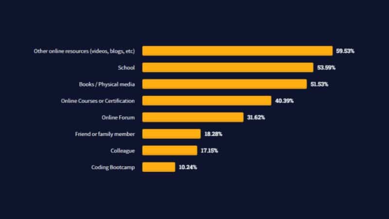 graph of what was used in 2021 to learn how to code