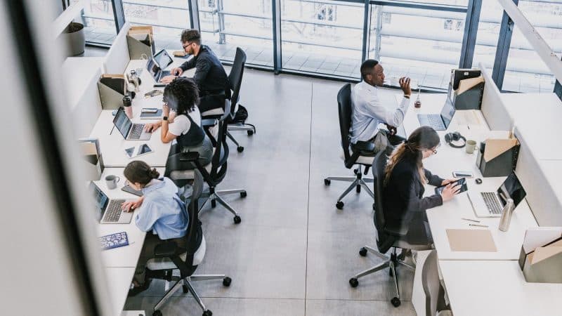 people working in an office with their computers